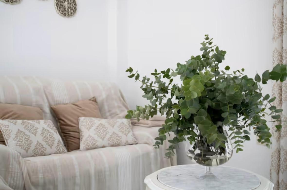 Apartamento Cataleya 론다 외부 사진
